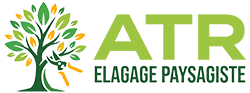 elagage-atr-elagage-paysagiste